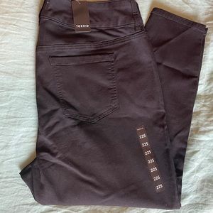 Blank Torrid Jehgings